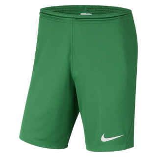 NIKE DRI FIT SHORTS - GREEN