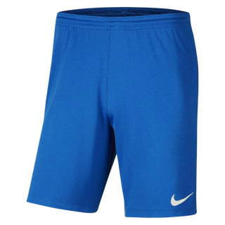 NIKE DRI FIT SHORTS - ROYAL BLUE